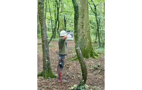 Concours Nature à Rennes